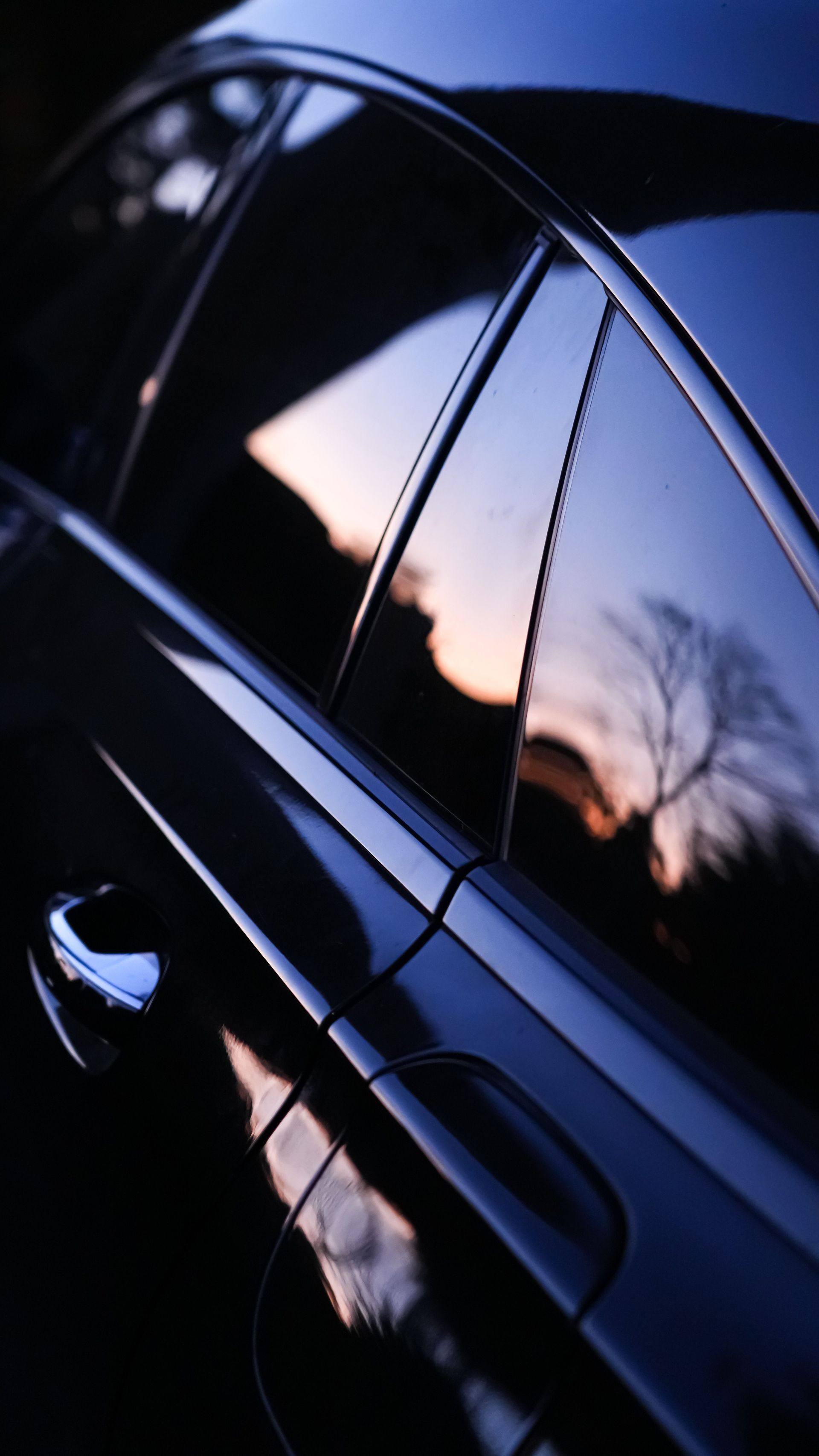 Elegant car window reflecting a vibrant sunset and silhouette of a tree.