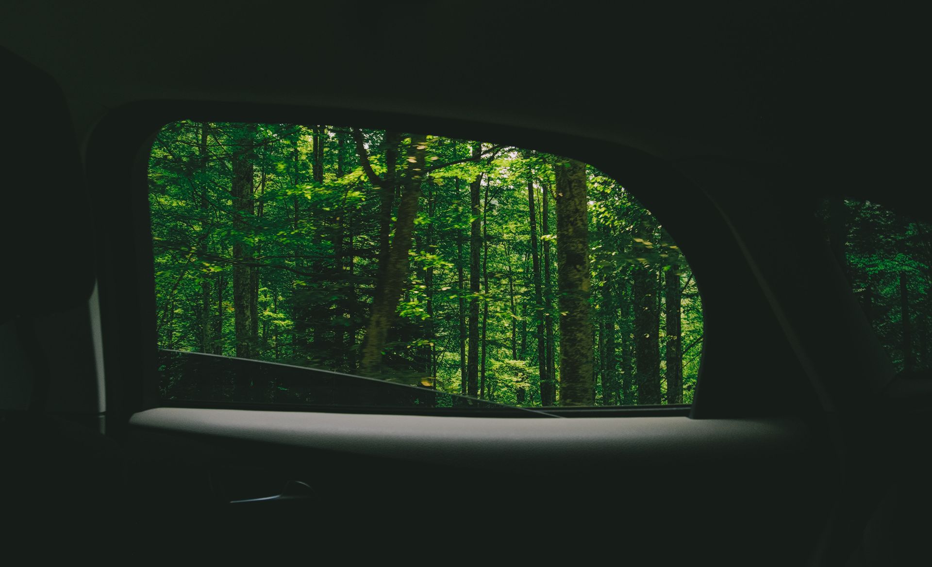 Scenic view of green forest through a car window, capturing nature's tranquility.