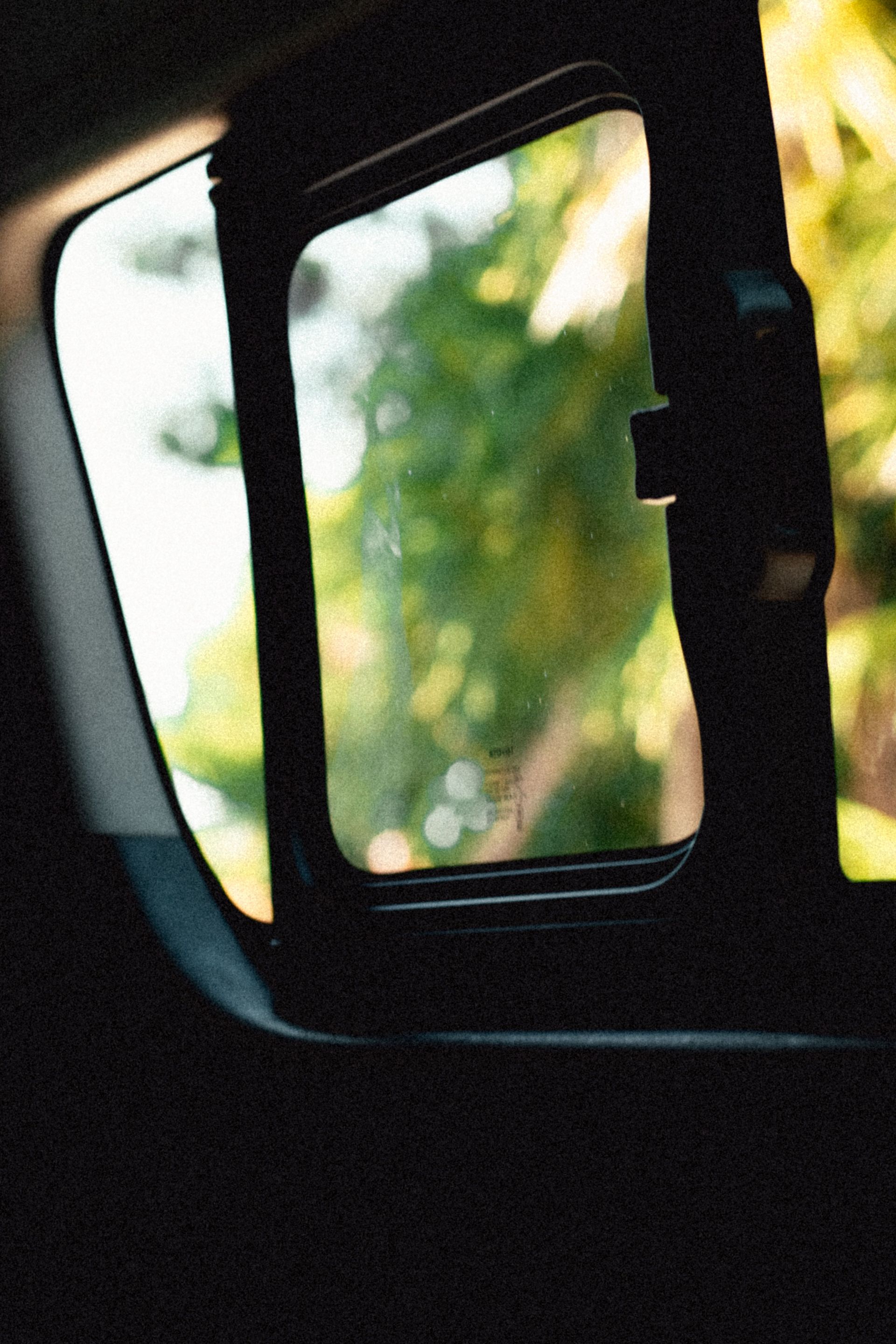 A lush green outdoor scene viewed through a car window in Puerto Morelos, Mexico.